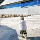 재하목장 이미지