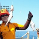 낙산화이트홈펜션 네이버블로그