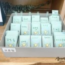 유앤동물병원 | [내돈내산] 오금동 단체 모임 하기 좋은 카페 추천! 유니크한 '카페듀(DEW)' 방문 후기 ✨