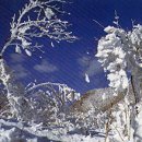 스타펠리스앞 이미지