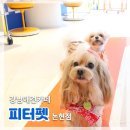 피터펫 논현점 이미지