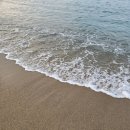 바다마을횟집 | 양양 애견동반 대게 횟집 낙산바다회마을 메뉴, 후기