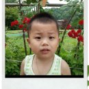 달미공원 이미지