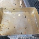 땡칠이도시락 이미지