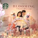 체리블라썸 이미지