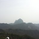 천연염색머리방 Daum카페