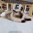 움사랑지역아동센터 이미지