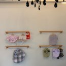 빛나개 애견 유치원 | 강남애견미용 필스타 말티푸 가위컷 전문 애견미용실