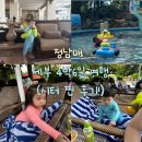 제이번역 | 세부 제이파크 시터 솔직후기