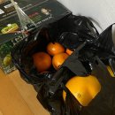 태민약국 이미지