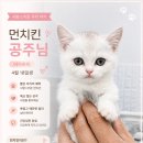 퍼피루미 - 1647 | 퍼피루미