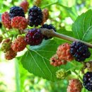 이제이코스메디 이미지