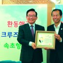 롯데관광㈜ 이미지