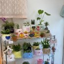 흥안로-12 이미지