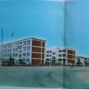 동신초교 병설유치원 | 대구동신국민학교(대구) 4회