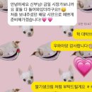 [W ep.06] 스튜디오 촬영용 부케 디렉팅 후기 (위드플레어)