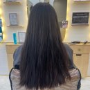 미오숲엠피엠프랜차이즈 | 남악 미용실 미오숲 : 레이어드 C컬펌 후기