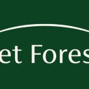 펫포레스트 이미지