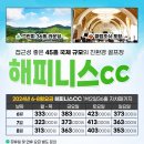 해피니스투어