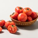 토마토마트 이미지