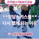 리얼정보시스템 네이버블로그