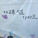 가고픈청보리 이미지