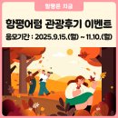 국화 | 2025 가을 전남 함평 국향대전 국화축제 후기 이벤트 함평어텀