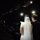 그래요기 이미지