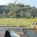 선바우 집 | 포항 선바우집 내돈내산 솔직 후기 (아수운…)