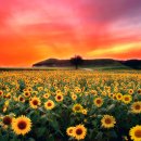 건강을 유지하는 5대 요소 이미지