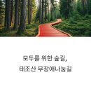 휠체어&amp;유모차도 OK! 태조산 무장애나눔길, 천안 힐링 산책 명소(무장애숲길)