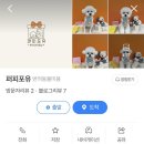 퍼피포유 이미지