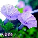 오페라와 아리아의 이해 이미지
