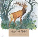 형제신발 이미지