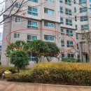 남천1-203 이미지