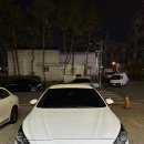뉴하이렌트카 네이버블로그