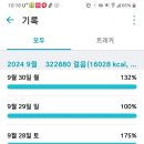 장미제일시장 이미지