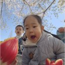 김해큰세상어린이집 | 맞벌이 가정을 위한 최적의 선택, 어방동어린이집 김해큰세상 어린이집 소개