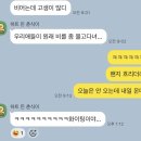 귀여운개최고 | [후기] [정보] 세븐틴 10주년 팬미팅 '캐럿랜드' 인천 개최! 티켓팅 일정 및 주경기장 시야 꿀팁 (feat...