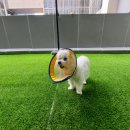 오랑개 용인흥덕점 이미지