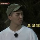 스테이바이브