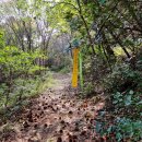 연리보건진료소 이미지