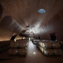 안티노리 이미지