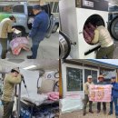 주민세탁 이미지