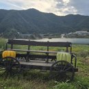 도담정원 이미지