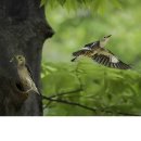 수원-0522 이미지