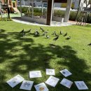 드림작은도서관 이미지