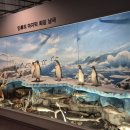 땅끝해양 자연사박물관 이미지