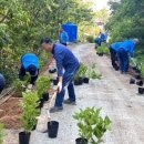 한반도주민협의회 이미지