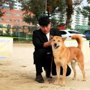 달구벌진도 이미지